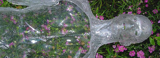 CINDY STELMACKOWICH | VISIBLE MAN 1 | DURATRANSPARENCY, LIGHT BOX, METAL URNS, BOX, FLOWERS | DIMENSIONS VARIABLE | 2008