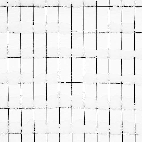 Fence
2008
gelatin silver print