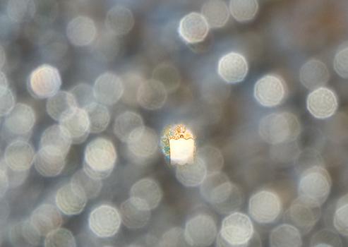 CHERYL PAGUREK | REFLECTION 8 (DETAIL OF UPSIDE-DOWN IMAGE SEEN WITHIN THE CIRCLES OF REFRACTED LIGHT)