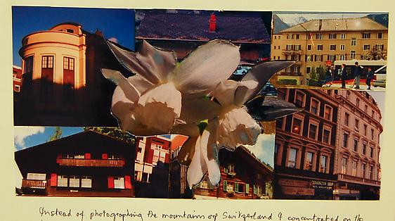 <i>Narratives</i> Charles Bukowski, Peter Hutchinson, Tjibbe Hooghiemstra