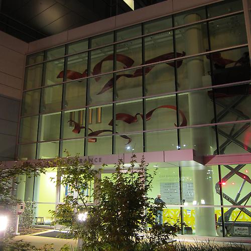 USC Children's Hospital Commission