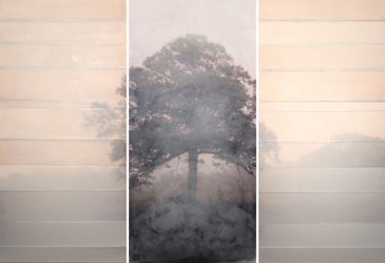 In a Meadow
49" x 74" triptych
encaustic on archival print mounted on wood
2010
