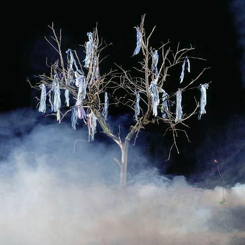  Untitled (from the series Awakening) , 2005
C-Print
48 x 48 inches (121 x 121 cm)
Edition of 6
