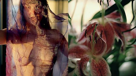 Stephen Roach