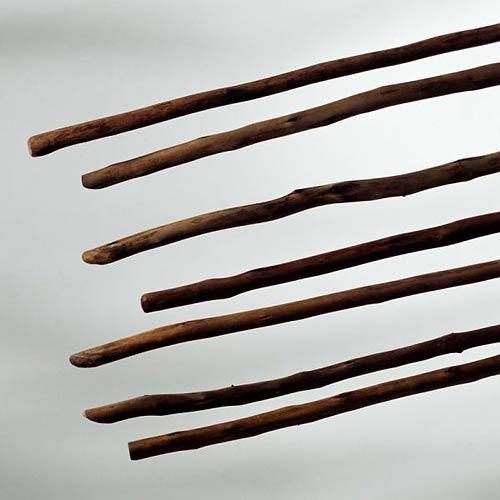  Untitled (from the series Awakening) , 2005
C-Print
50 x 50 inches (127 x 127 cm)
Edition of 6