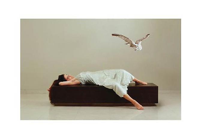  Untitled (from the series Awakening) , 2005
C-Print
52 x 74 inches (132 x 188 cm)
Edition of 6