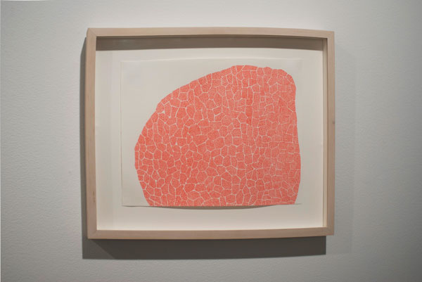 Robert Jack, Other Growths, 2008
Ink on paper, 8.25 x 11.75 inches
