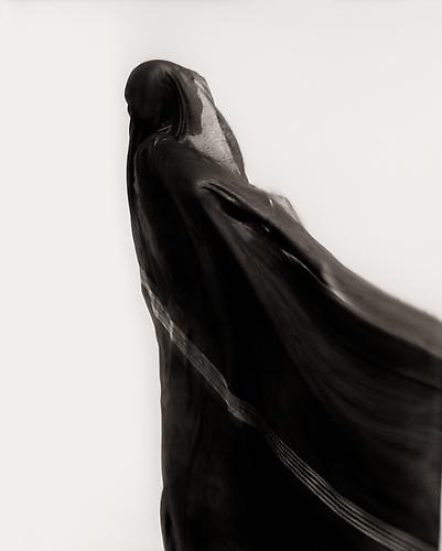 Jinn
Tuareg woman, the Sahara Desert, Mali
2009
platinum/palladium print