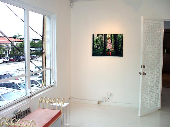 Installation view
Gavlak Gallery, 2010