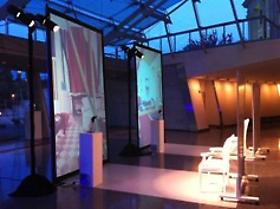 Conference: Thinking Creatively, Artist Invitation Lecture, NICOLE COHEN