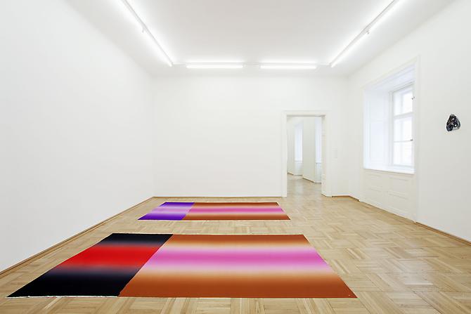 Polly Apfelbaum

Installation view: Galerie Nacht St. Stephan, Vienna, Austria. "Planiverse" March 16 - April 16, 2012