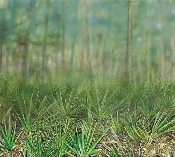 Elizabeth Thompson
Palmetto Field, 2011
Oil on linen 
26 x 36 in / 66 x 91 cm