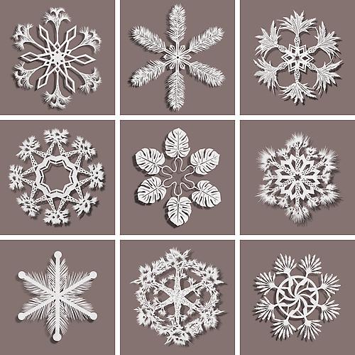 Palm Tree Snowflakes, 2013
Cut paper, Chinese xuan (rice) paper on silk
39 x 39 inches variable