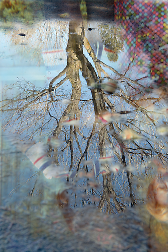 CHERYL PAGUREK | REFLECTION 2 | INK JET PRINT ON SEMI-MATT PHOTOGRAPHIC PAPER | 65 x 43.4 CENTIMETERS | 2006