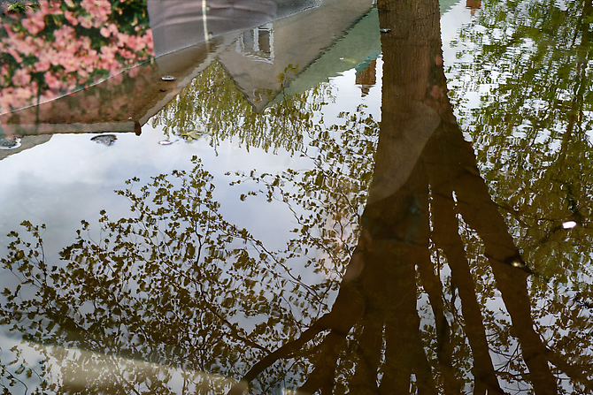 CHERYL PAGUREK | REFLECTION 6 | INK JET PRINT ON SEMI-MATT PHOTOGRAPHIC PAPER | 43.4 X 65 CENTIMETERS | 2006