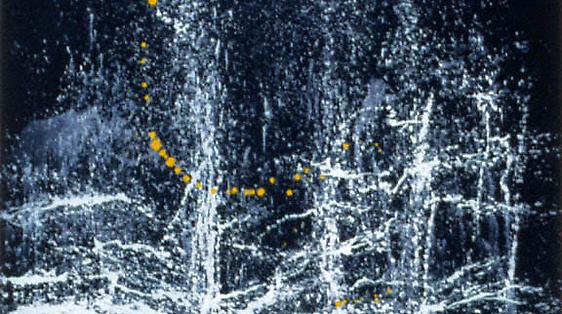 Pat Steir