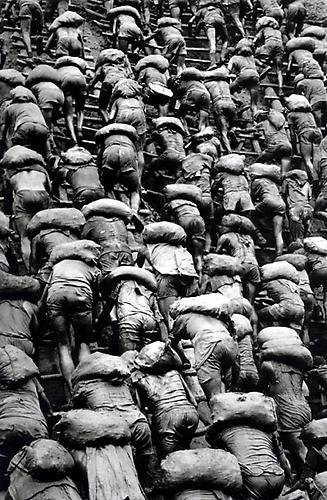 Ladder, The Gold Mine, Serra Pelada, Brazil
1986
gelatin silver print