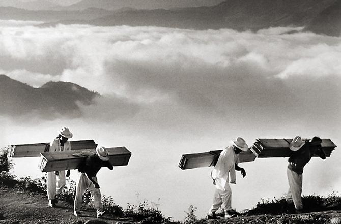 Mexico
1980
gelatin silver print