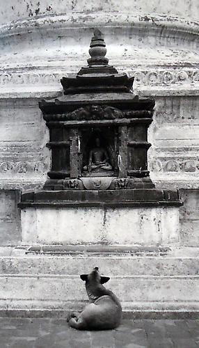 Kathmandu, Nepal
1994
gelatin silver print