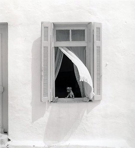 Hydra, Greece
1975
gelatin silver print