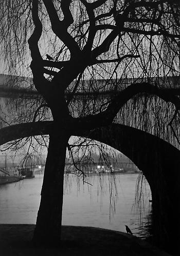 Paris, France
2011
gelatin silver print