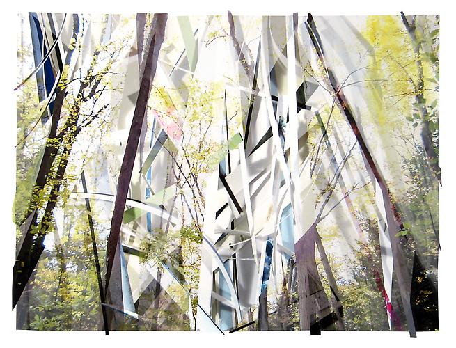 Scrap Paper and Woods 3, 2012
Archival inkjet print, paper and collage
23 x 31.5 inches