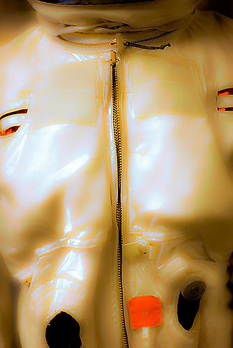 Skin Job, 2010
from 'Aerospace'
pigment print