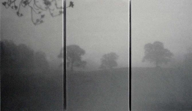 Spring Summer Mystics
36" x 60" triptych
encaustic on archival print mounted on wood
2009