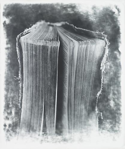 Book
2012
gelatin silver print