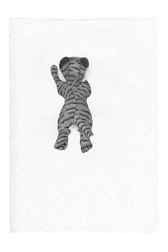 Untitled (Tiger), 2003, ballpoint on paper, 8 x 5.55 inches