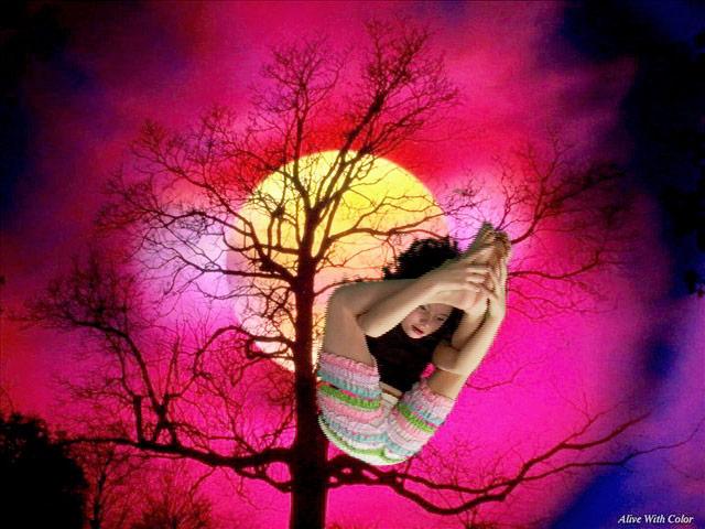 In the video room:
Erica Magrey,  Troubadour , 2006, still from digital video, runtime: 00:27:12