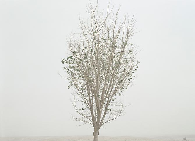  Untitled , 2010
Archival Pigment Print
20 x 26 inches
50 x 66 cm