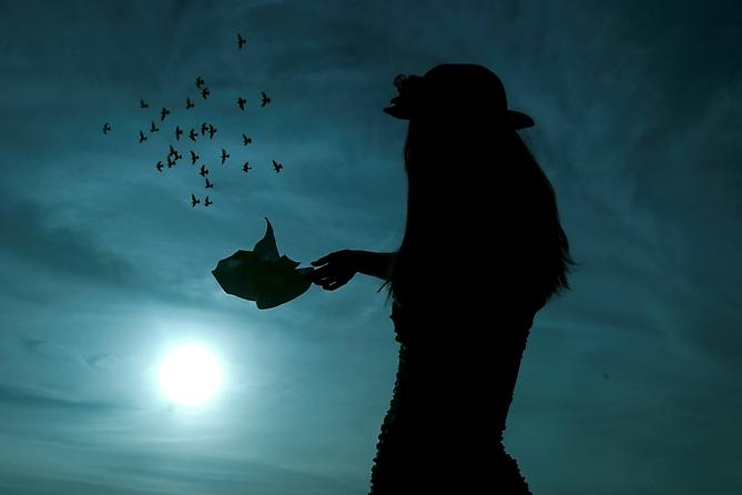  Fly Away (2011)  -  Enquire 
From the  52 Weeks  Series
Archival Print on Cotton Paper
102 x 68 cm (Editions of 8)
