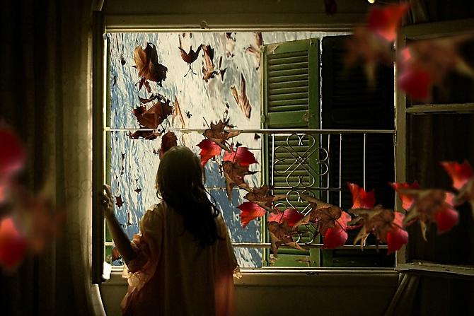 Fallen Birds, Fallen Leaves (2010)  -  Enquire 
From the  52 Weeks  Series
Archival Print on Cotton Paper
92 x 61 cm (Editions of 8)