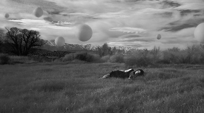 Varuna, 2010
Chromogenic print, mounted to dibond
Limited edition of 4
18x32.5 inches