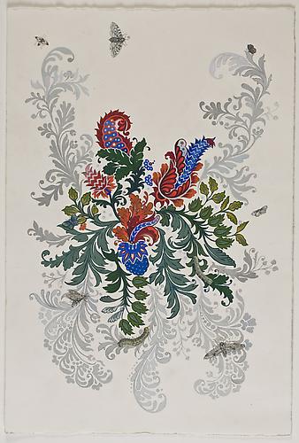Anda Dubinskis, 2010
 Grey Moth , gouache on paper
22" x 15"