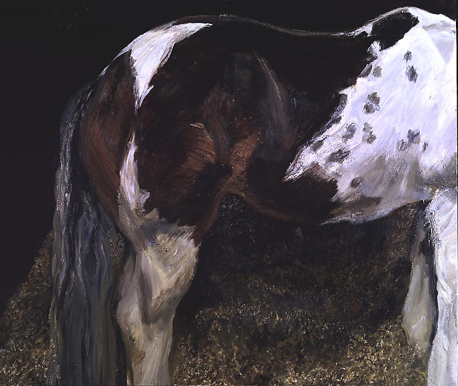 Lucian Freud, "Skewbald Mare," 2004
Oil on canvas, 40 3/16 x 48 1/8 inches
