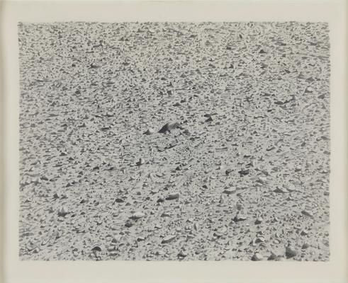 Vija Celmins, "Untitled (Regular Desert)," 1973
Graphite on acrylic ground on paper
12 x 15 inches
Art © Vija Celmins Image