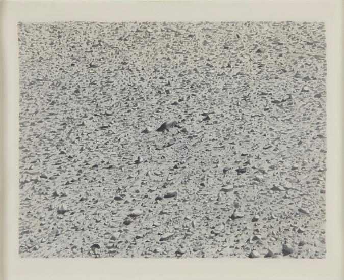 Vija Celmins, "Untitled (Regular Desert)," 1973
Graphite on acrylic ground on paper
12 x 15 inches
Art © Vija Celmins