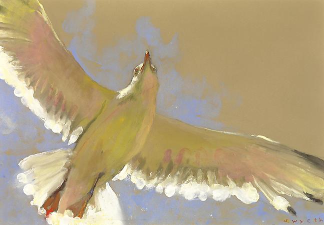 Jamie Wyeth (b. 1946)
Gliding Gull, 2007
Watercolor and gouache on toned rag board
12 1/2 x 17 1/2 inches
Signed lower right: J. Wyeth Image
