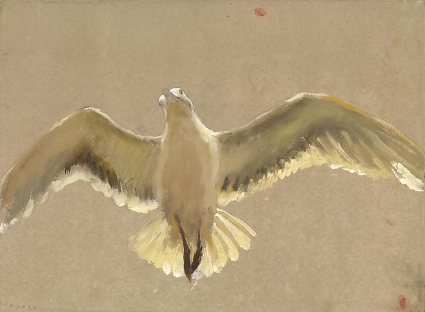 Jamie Wyeth (b. 1946)
Hovering Gull, 2007
Watercolor and gouache on toned handmade rag paper
21 3/4 x 29 1/2 inches
Signed lower left: J. Wyeth
Image