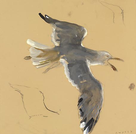 Jamie Wyeth (b. 1946)
Gull in Flight, Shrieking, 2006
Watercolor and gouache on toned rag board
16 1/8 x 16 1/4 inches
Signed lower right: J. Wyeth
Image