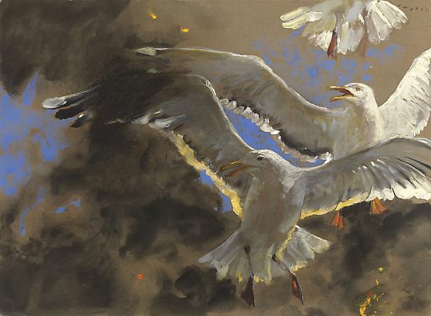 Jamie Wyeth (b. 1946)
Gulls of the Inferno, 2007
Watercolor and gouache on toned handmade rag paper
22 x 30 3/8 inches
Signed upper right: J. Wyeth
Image