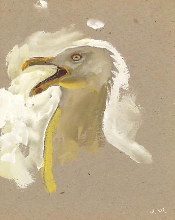 Jamie Wyeth (b. 1946)
Gull Alarmed, 2006
Watercolor and gouache on toned handmade rag paper
10 x 8 inches
Signed lower right: J.W.
Image