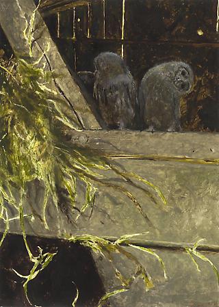 Jamie Wyeth (b. 1946)
Barn Owls, Immature, 2006
Combined mediums on Strathmore paper
35 3/8 x 25 1/2 inches
Signed lower right: J. Wyeth
Image