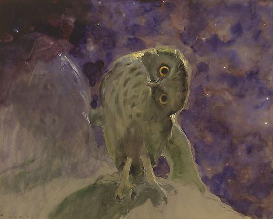 Jamie Wyeth (b. 1946)
The Screech Owl, 2008
Combined mediums on toned paperboard
15 1/2 x 19 1/2 inches
Signed lower left: J. Wyeth
Image
