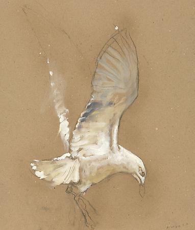 Jamie Wyeth (b. 1946)
Gull Descending, 2006
Watercolor and gouache on toned rag board
22 5/8 x 19 1/4 inches
Signed lower right: J. Wyeth
Image