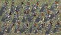 Thumbnail 27