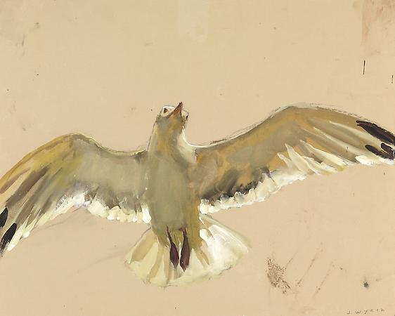 Jamie Wyeth (b. 1946)
Gull Floating, 2007
Watercolor and gouache on toned rag board
16 x 19 7/8 inches
Signed lower right: J. Wyeth
Image