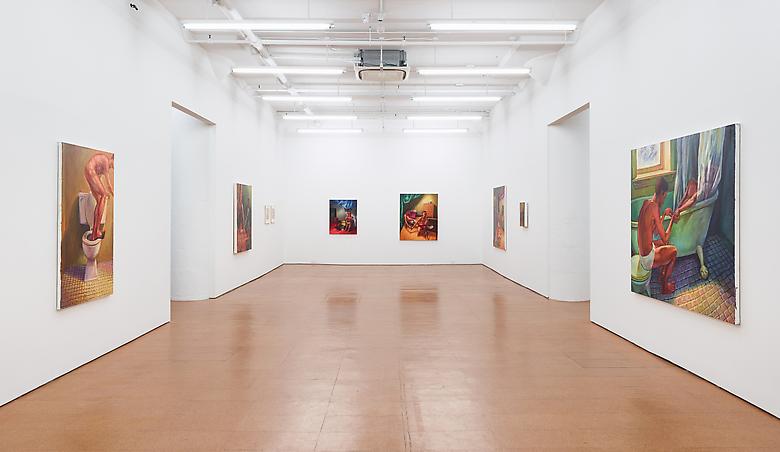 Hugh Steers
Installation view, Alexander Gray Associates (2013)